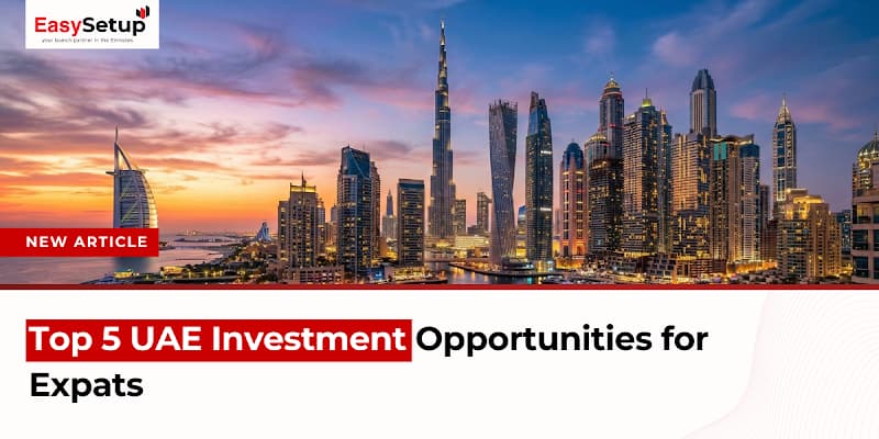 Top 5 UAE Investment Opportunities for Expats
